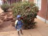 Rafiki mdogo 3.JPG - 2005:08:26 07:40:15