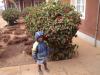 Rafiki mdogo 4.JPG - 2005:08:26 07:40:19