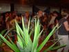 dsc03913.jpg - 2013:06:21 19:45:51